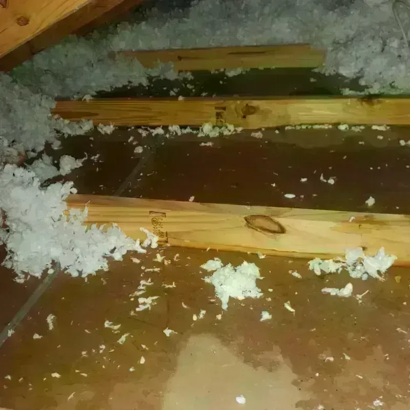 Attic Water Damage in Falcon Lake Estates, TX